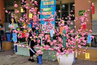 HỘI THI TRANG TRÍ CÀNH MAI - CÀNH ĐÀO